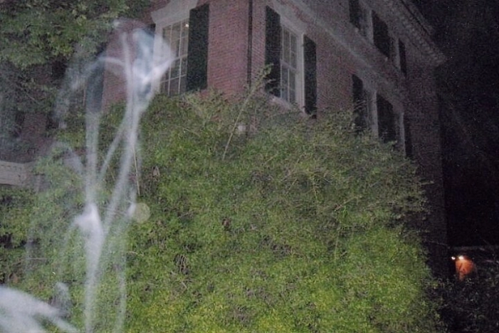 Image 6