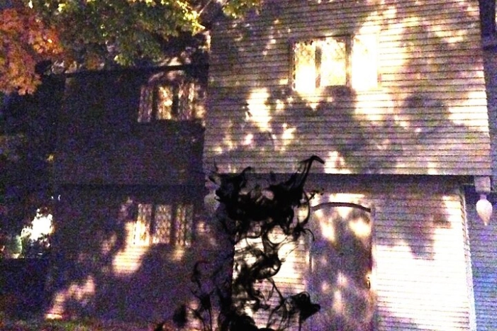 Image 7