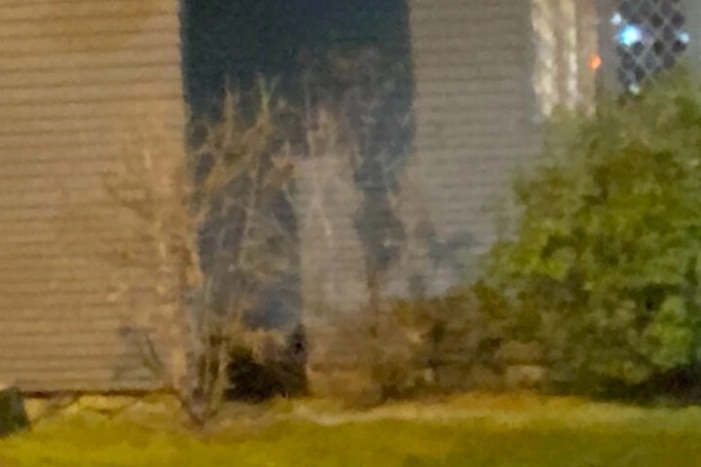 Image 13