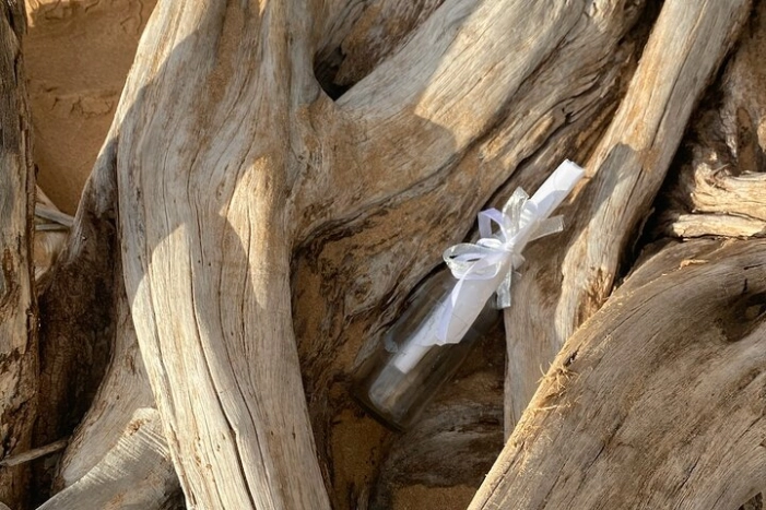 Image 19