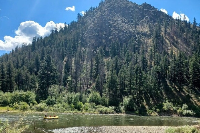 Image 4