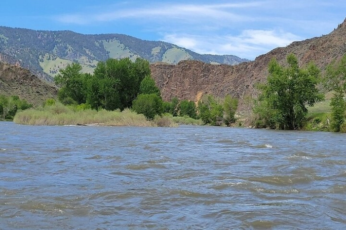 Image 5