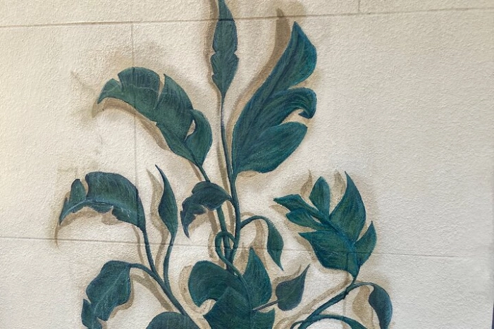 Image 13