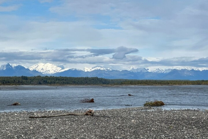 Image 14