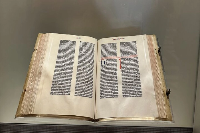 Image 6