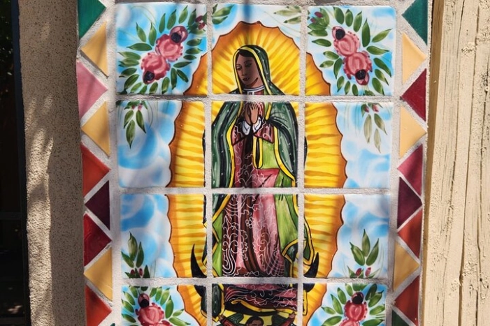 Image 8