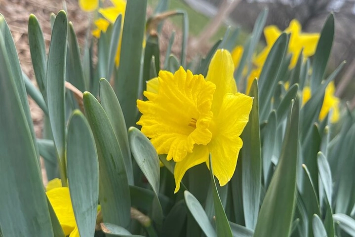 Image 12