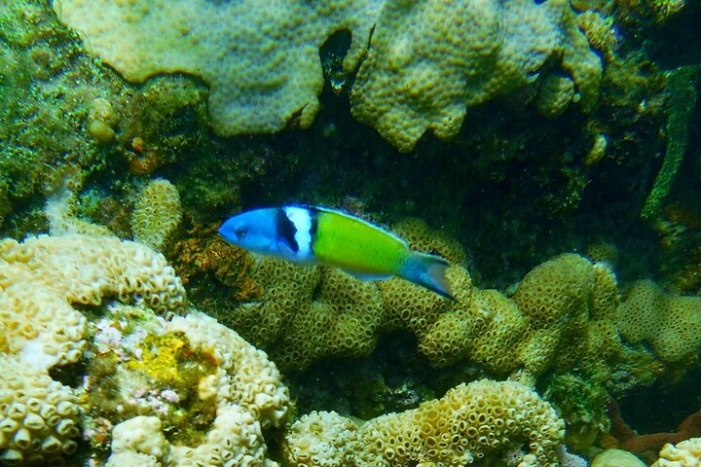 Image 11