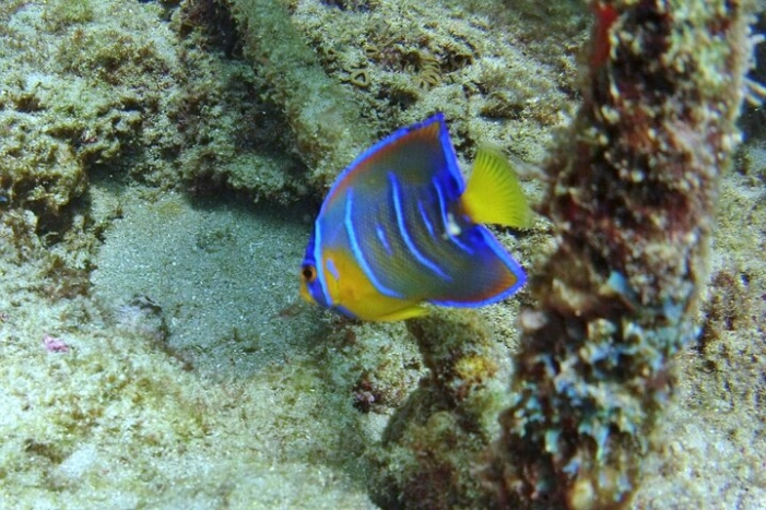 Image 5