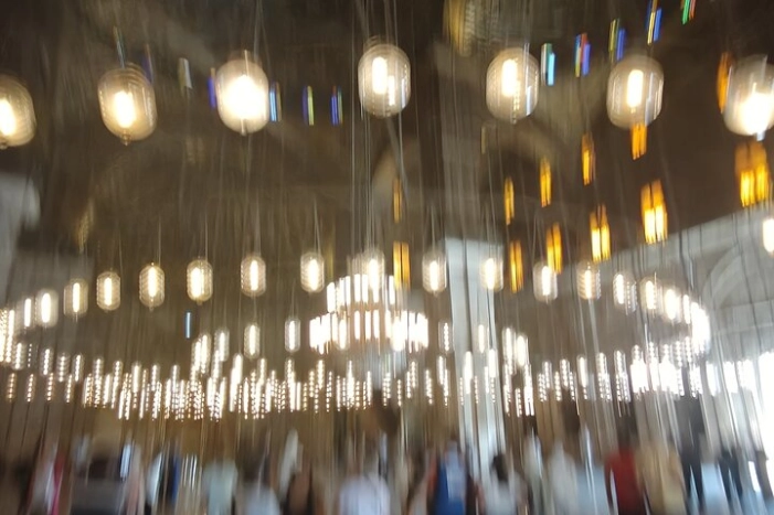 Image 15