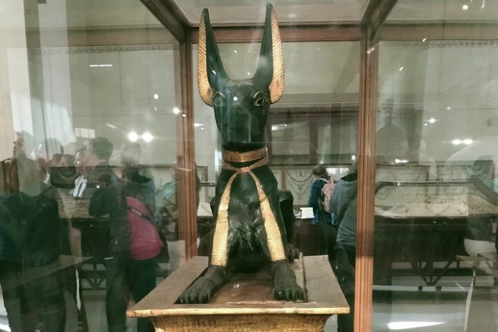 Image 10