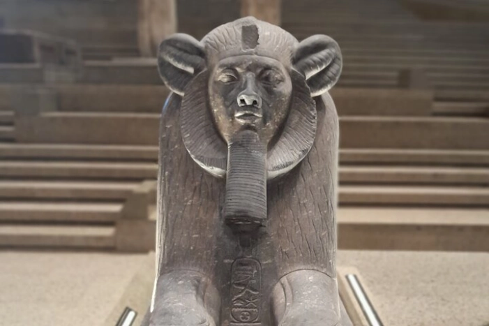 Image 14