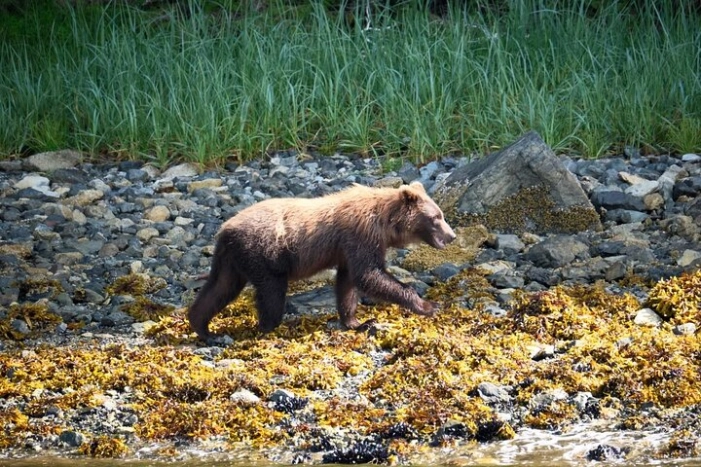 Image 8