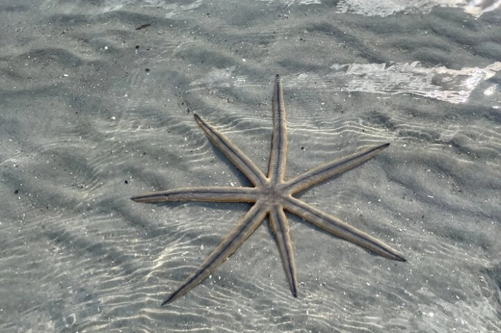 Image 37
