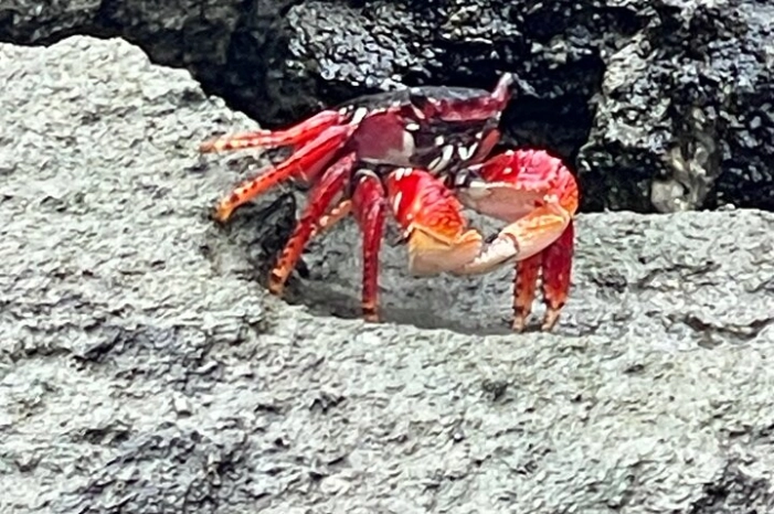 Image 13