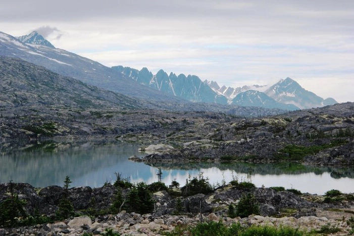 Image 6