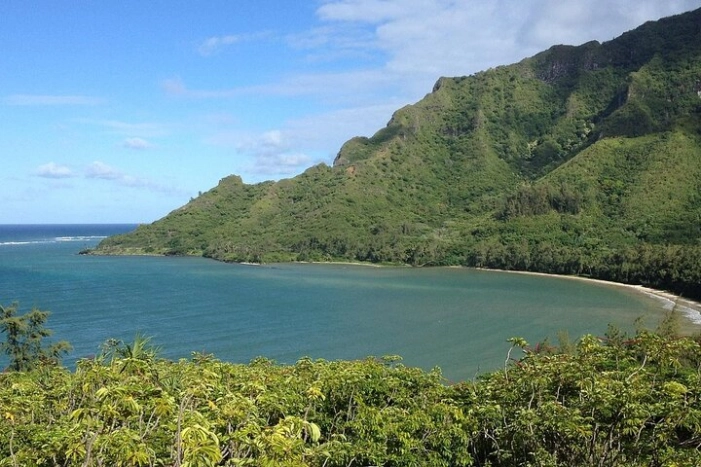 Image 10