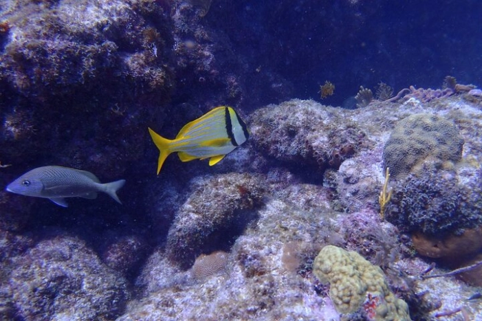 Image 9