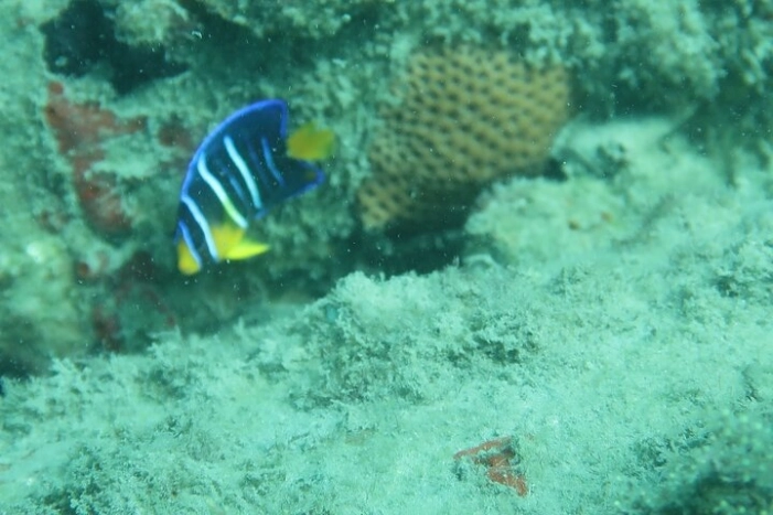 Image 7