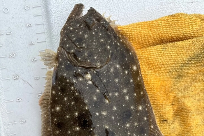 Image 23