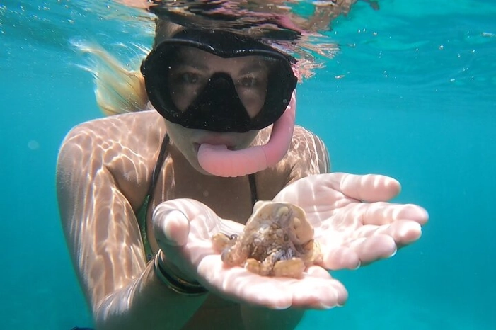 Marine Ecology Snorkel from Electric Beach Oahu with Photos
