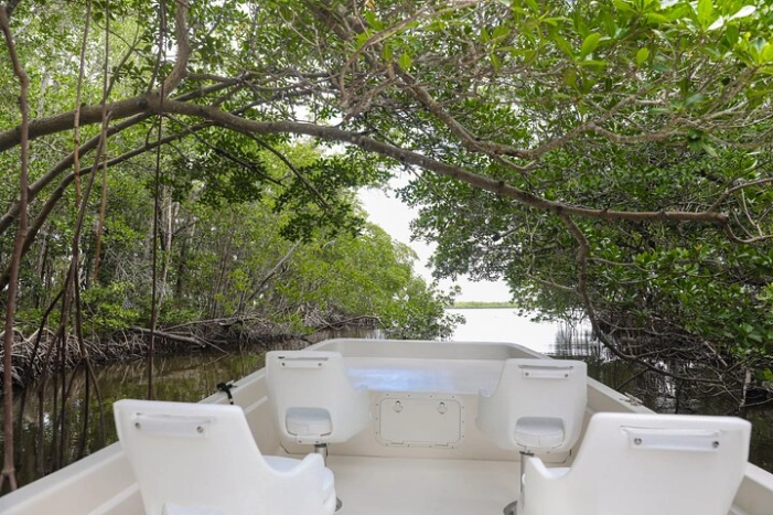 Everglades Mangrove Wilderness Boat Tour 