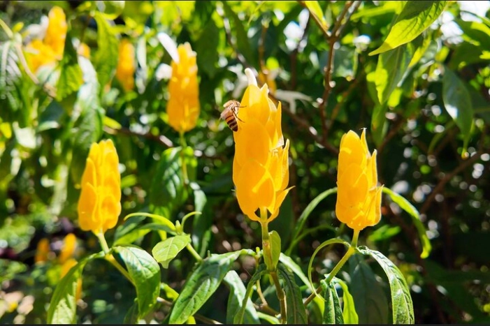 Image 23