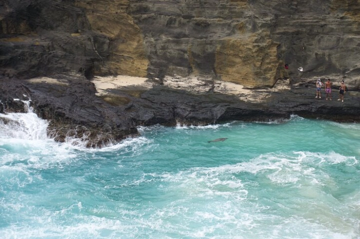 Image 10