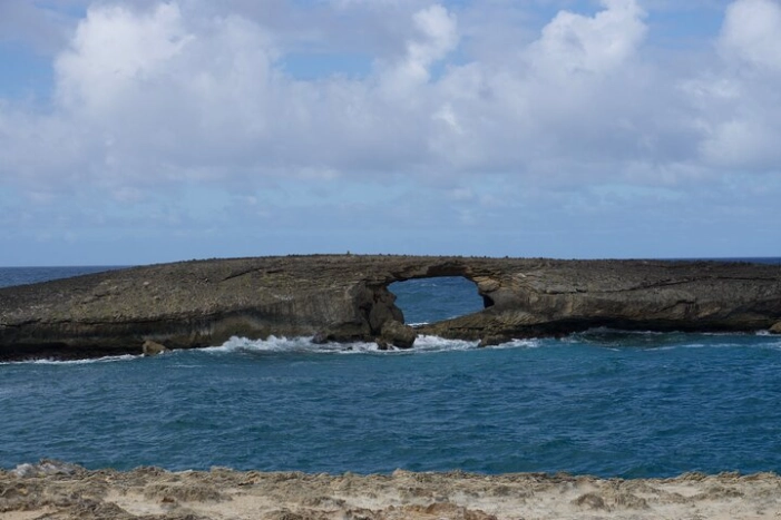 Image 36