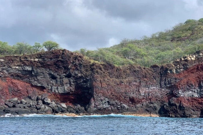 Image 9