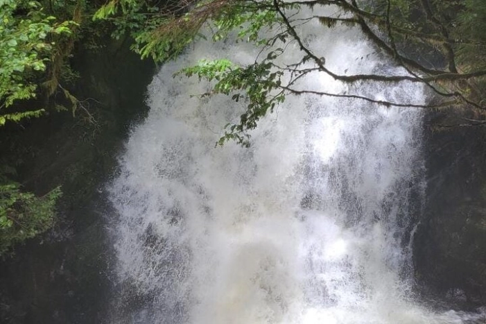 Image 6