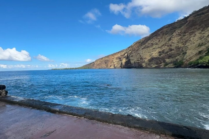 Image 15