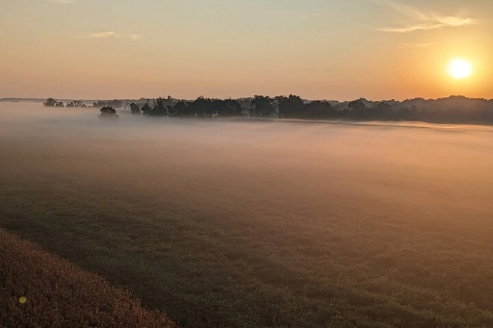 Image 17