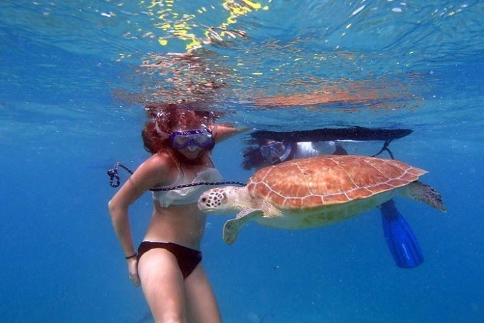 Florida Keys Eco Tour: Snorkel, Kayak, Lunch + Transportation!
