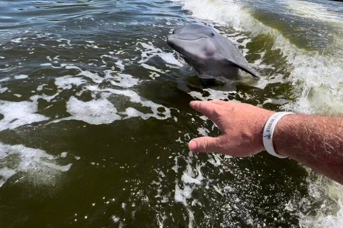 10,000 Islands Boat Tour + Naturalist Led Walk in the Everglades!