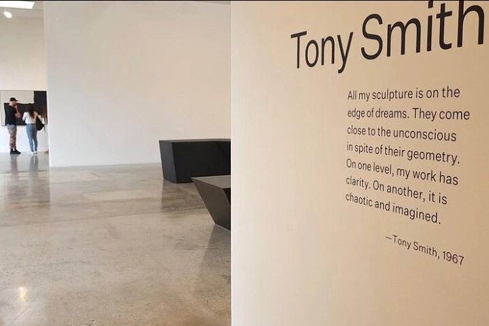 Art Openings in Los Angeles Saturday Night Private Tour by Aaron