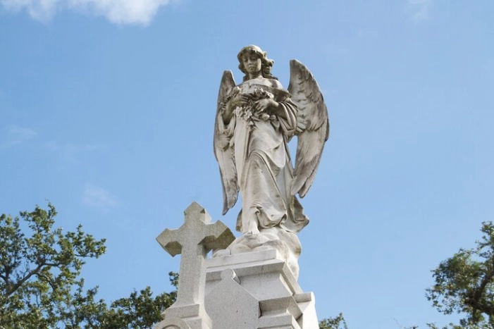 Image 15