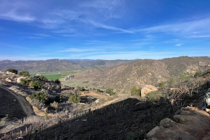 Image 10