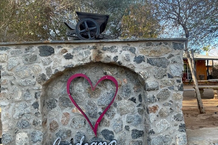 Image 21