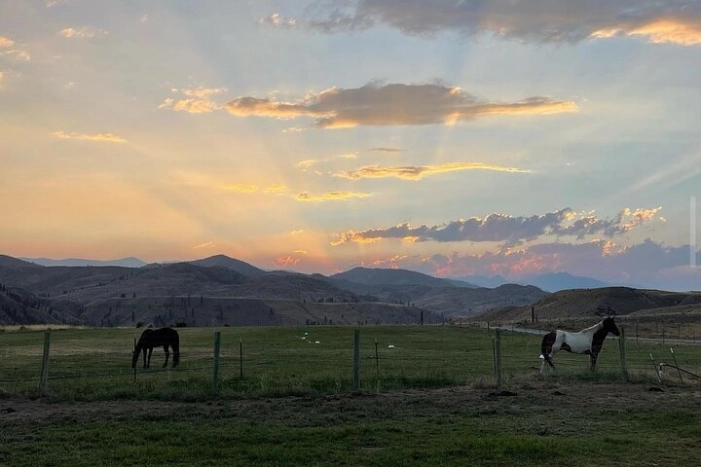 Guided Walking Tour of Methow Meadows and Meet the Animals