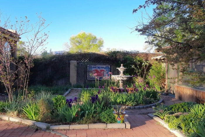 Image 20