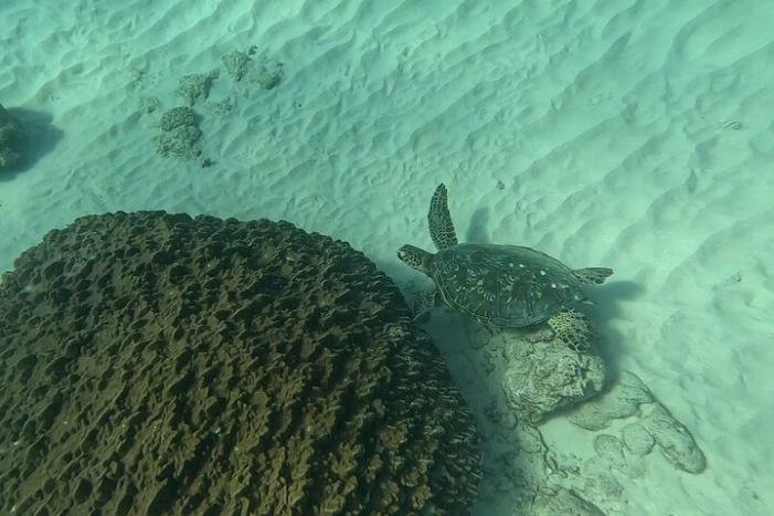 Image 8