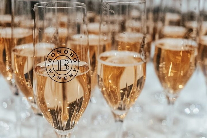 NON BUS Champagne Wine Tour in Traverse City Shared Experience
