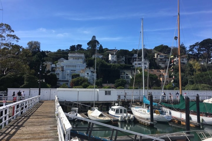 Image 6
