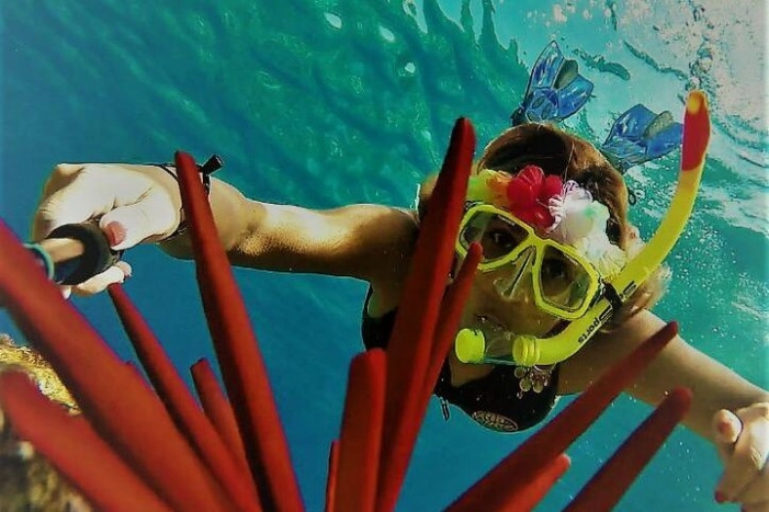 Molokini Crater Zodiac Adventure: Snorkel and Turtle Cove Swim 