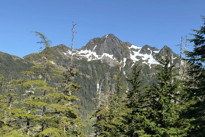Image 14