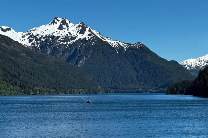 Image 18
