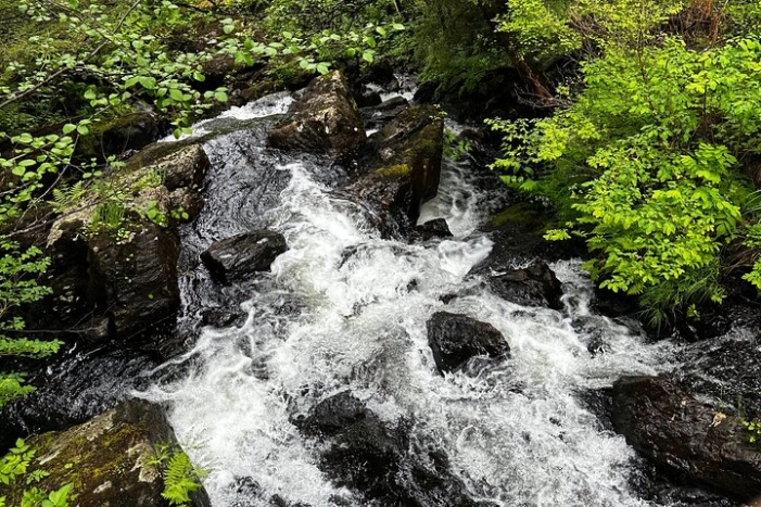 Image 8