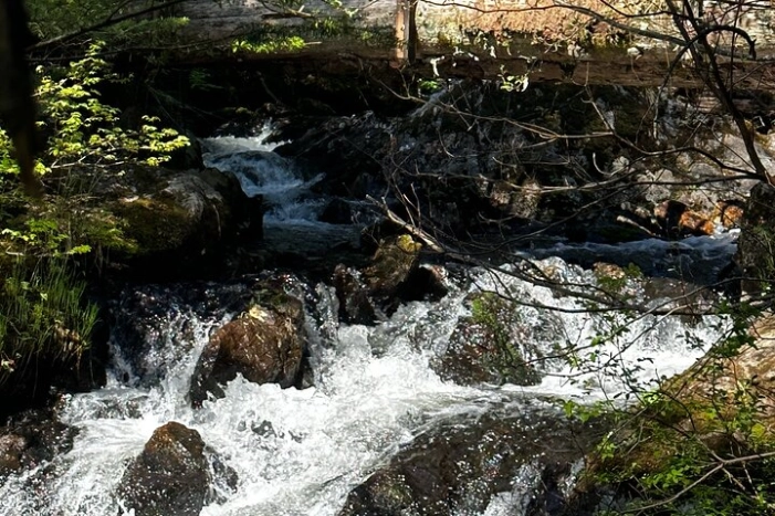 Image 15