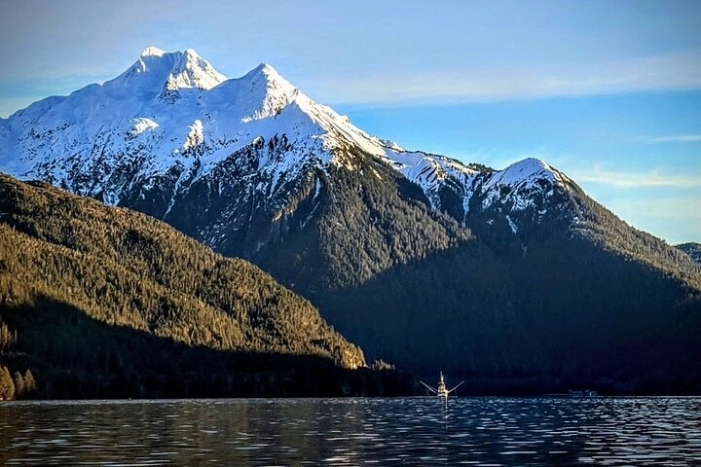Image 12